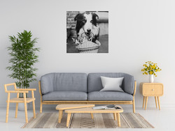Anonym A Dog Collie With Kittens