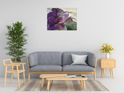 Ingeborg Dreyer Clematis
