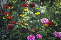Jennifer Henriksen Secreet Gardens