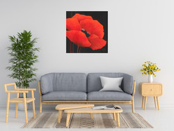 Jettie Roseboom Simple Red Ii