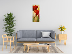 Marilyn Hageman Tulip Fantasy On Cream Ii