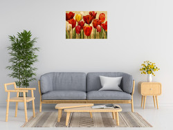 Marilyn Hageman Tulip Fantasy On Cream