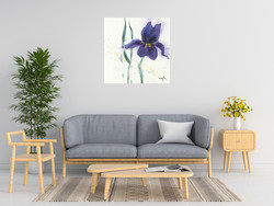 Marthe Iris Ii