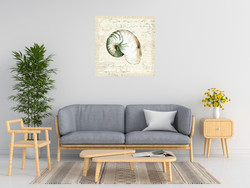 Pela Studio Ocean Prints Iii