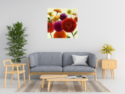 Shirley Novak Pure Palette Zinnias