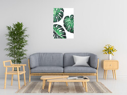 Sisi Seb Monstera Iii