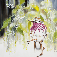 Stephanie Aguilar Jeweled