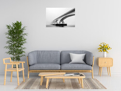 Sus Bogaerts Shades Of Grey