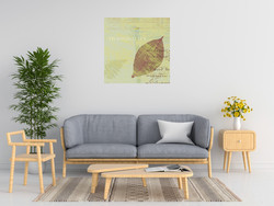 Wild Apple Portfolio Tranquility